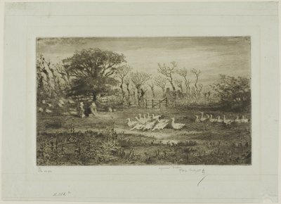 Gänse von Felix Hilaire Buhot