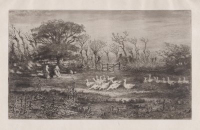 Gänse, 1860-98 von Felix Hilaire Buhot