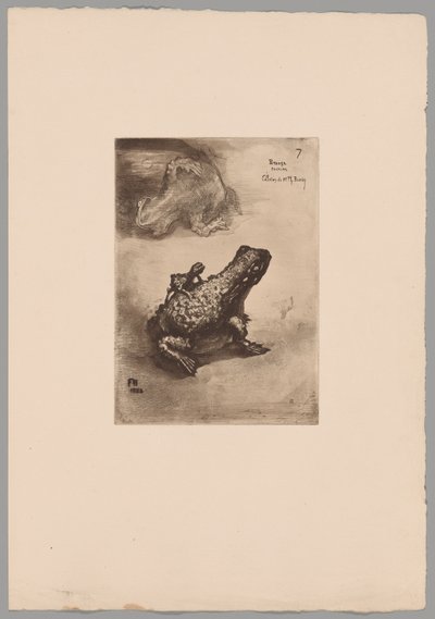 Japonismus von Felix Hilaire Buhot