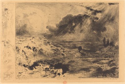Der Sturm, 1879 von Felix Hilaire Buhot
