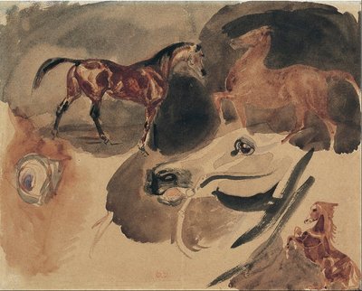 Studie von Pferden von Ferdinand Victor Eugene Delacroix