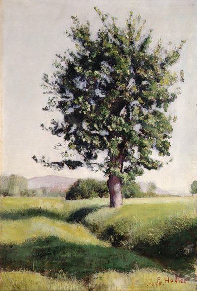 Der Baum von Ferdinand Hodler