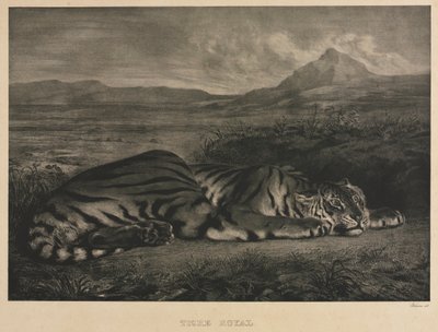 Königlicher Tiger von Ferdinand Victor Eugene Delacroix