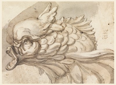 Kopf eines Delfins von Filippo Marchionni