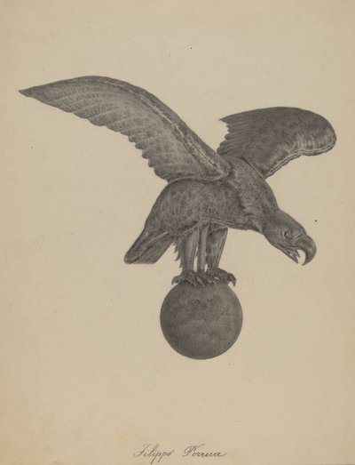 Adler von Filippo Porreca