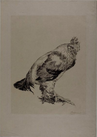 Der alte Hahn von Félix Henri Bracquemond