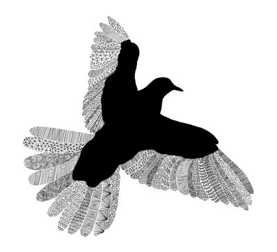 Vogel-Linienkunst von Florent Bodart