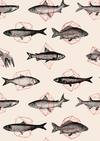 Fische in Geometrie von Florent Bodart