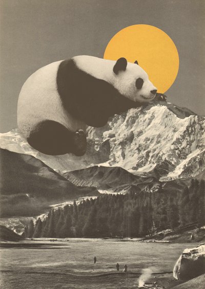 Pandas Nickerchen in den Bergen von Florent Bodart