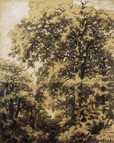 Wald von Fontainebleau von Francesco Gamba
