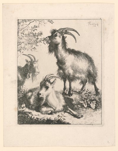 Drei Ziegen von Francesco Londonio