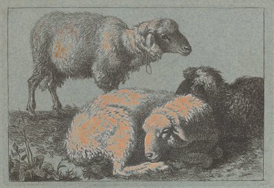 Zwei liegende Schafe und ein stehendes Schaf von Francesco Londonio