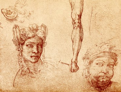 Studien von Kopf und Bein von Francesco Ubertini Bacchiacca