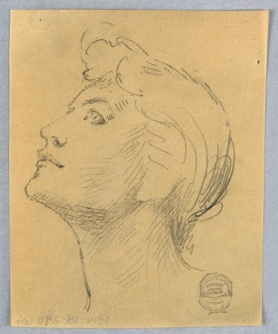 Kopf einer Frau von Francis Augustus Lathrop