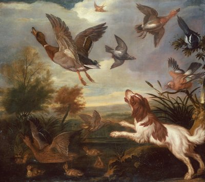 Ein Spaniel treibt Stockenten auf von Francis Barlow