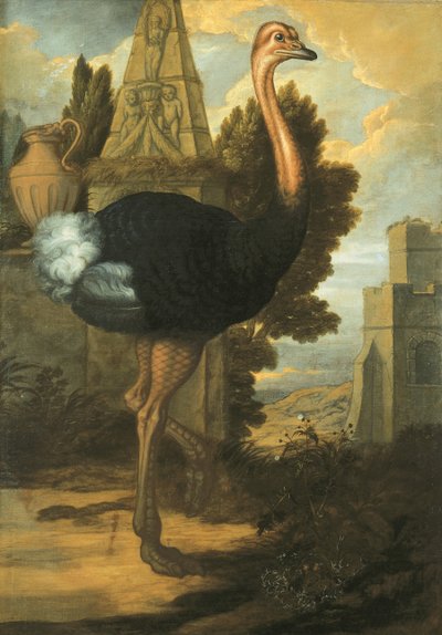 Ein Strauß von Francis Barlow