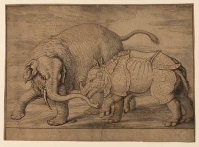 Kampf zwischen einem Elefanten und einem Nashorn von Francis Barlow