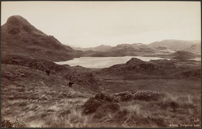 Arthog, Creigenen-See von Francis Bedford