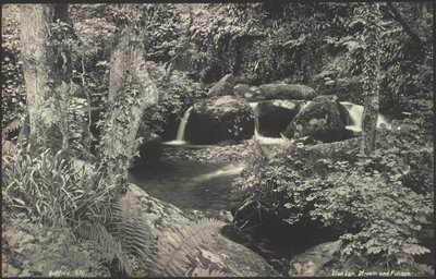 Glen Lyn, Bach und Laub von Francis Bedford
