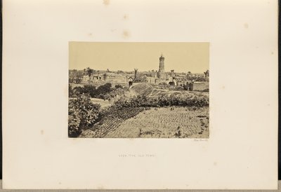 Gaza (Die Altstadt) von Francis Frith