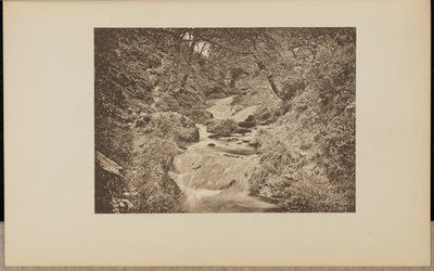 Die Wasserrutsche von Francis Frith and Co.