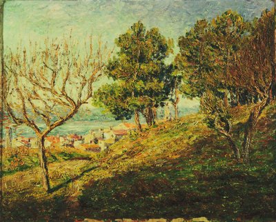 Blick auf Saint-Tropez von Francis Picabia
