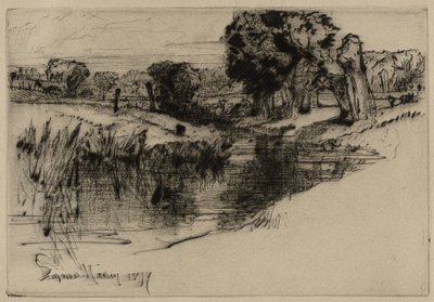 Ein Seitenarm, 1877 von Francis Seymour Haden