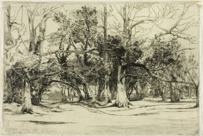Ein Nebenweg in Tipperary von Francis Seymour Haden