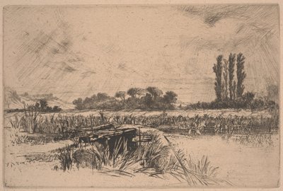Eine Wasserwiese von Francis Seymour Haden