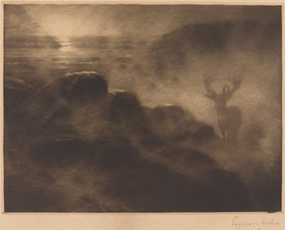 Ein Frühaufsteher von Francis Seymour Haden