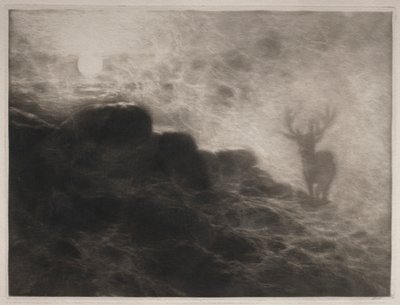 Ein Frühaufsteher, 1897 von Francis Seymour Haden