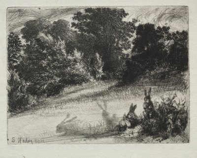 Combe Bottom von Francis Seymour Haden