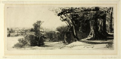 Früher Morgen, Richmond Park von Francis Seymour Haden