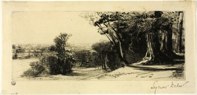 Früher Morgen, Richmond Park von Francis Seymour Haden