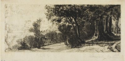 Früher Morgen, Richmond Park von Francis Seymour Haden