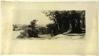 Früher Morgen, Richmond Park von Francis Seymour Haden