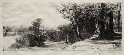 Früher Morgen, Richmond Park von Francis Seymour Haden