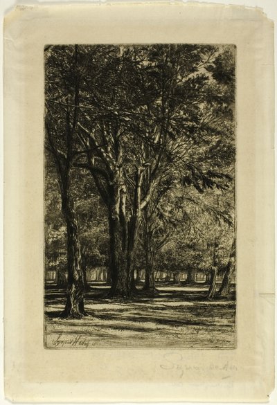 Kensington Gardens, Nr. II (große Platte) von Francis Seymour Haden