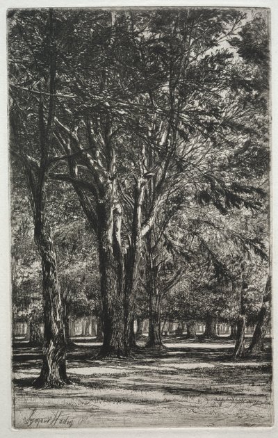 Kensington Gardens Die große Platte von Francis Seymour Haden