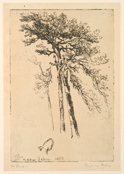 Schottische Kiefern von Francis Seymour Haden