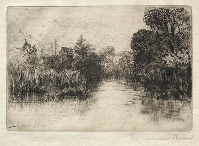 Shere Mill Pond Eine kleine Studie von Francis Seymour Haden