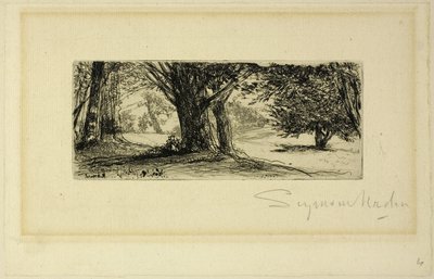 Die Stechpalmenfelder von Francis Seymour Haden