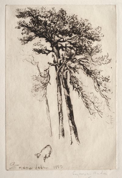 Der neueste Baum, 1882 von Francis Seymour Haden