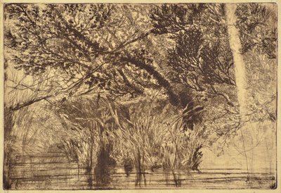 Der Mund eines Baches Nr. 1 von Francis Seymour Haden
