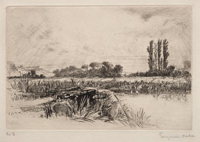 Wiesenlandschaft von Francis Seymour Haden