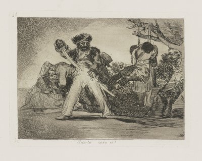 Fuerte cosa es! (Das ist) von Francisco de Goya