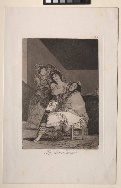Caprichos: Sie rupft ihn von Francisco de Goya