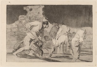 Wütender Unsinn von Francisco de Goya