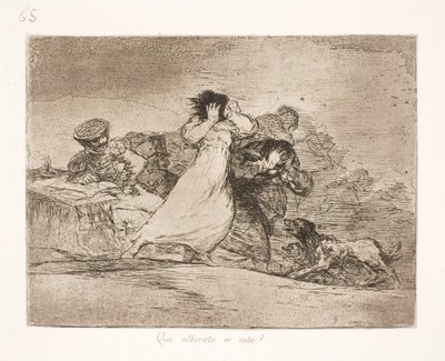 Was bedeutet diese Verwirrung? (65) von Francisco de Goya