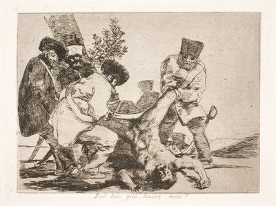 Kann man mehr tun? (33) von Francisco de Goya